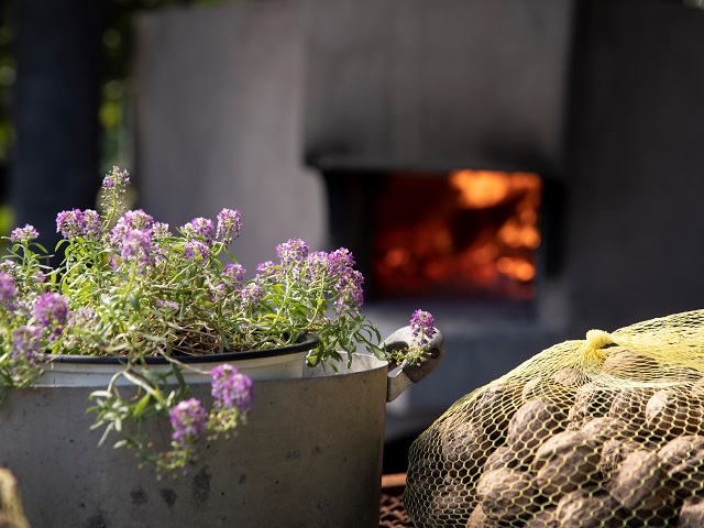 Agriturismo Etna